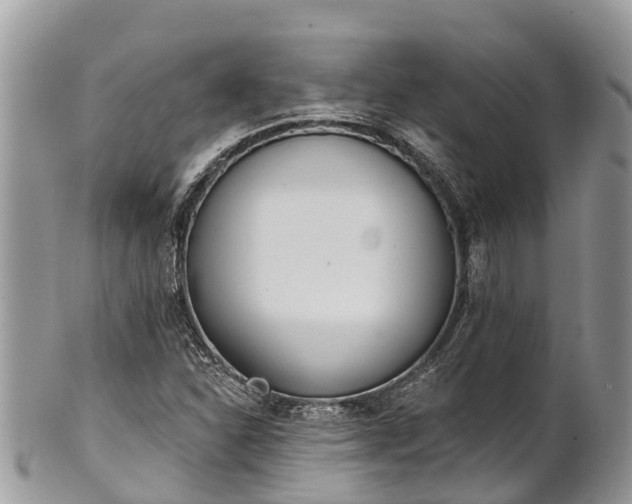 X0000101181310200807071236
