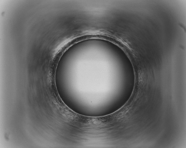 X0000101181311200807071236
