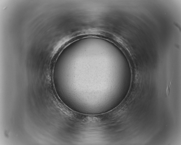 X0000101181312200807071236