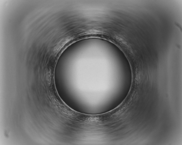 X0000101181313200807071236