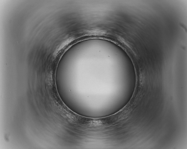 X0000101181315200807071236