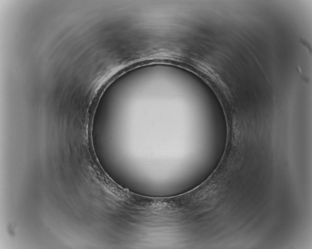X0000101181316200807071236