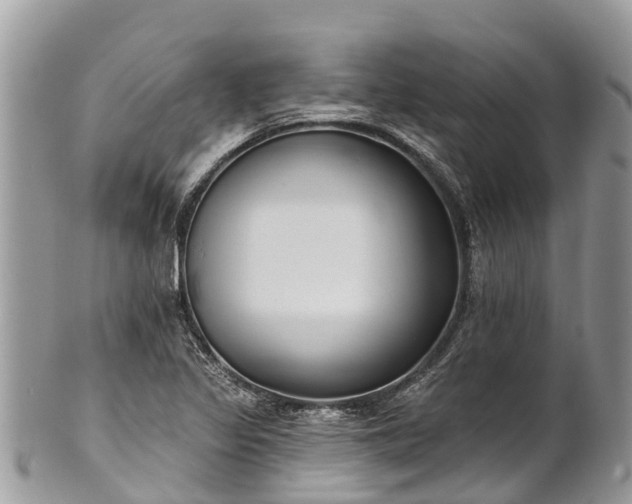 X0000101181317200807071236