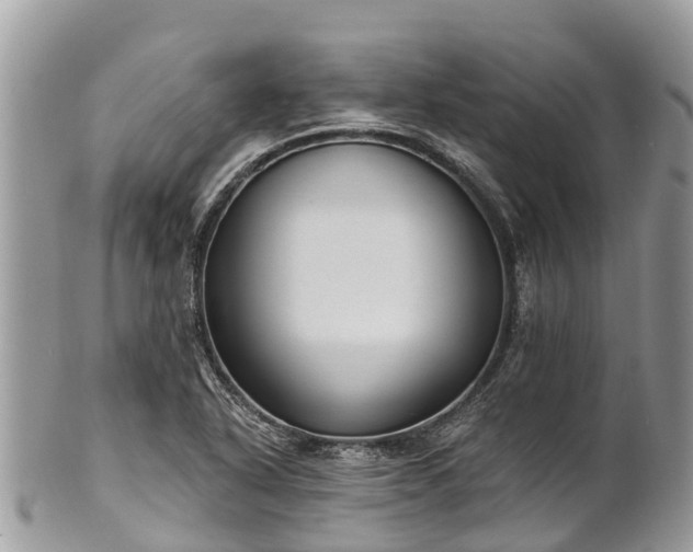 X0000101181318200807071236