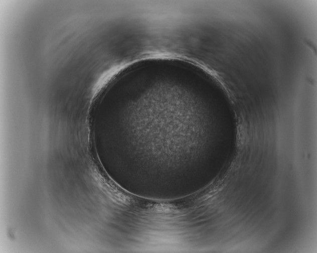X0000101181319200807071236