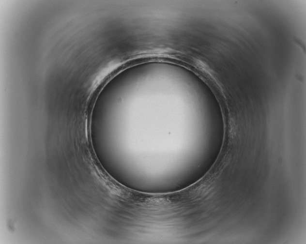 X0000101181320200807071236