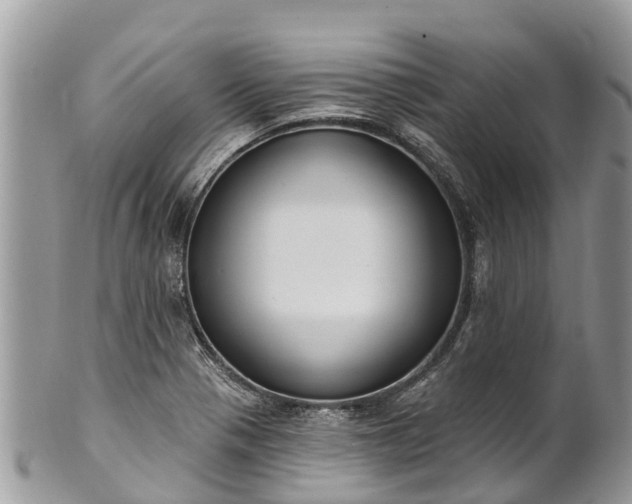 X0000101181321200807071236