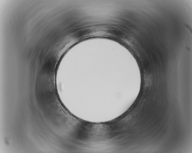 X0000101181322200807071236