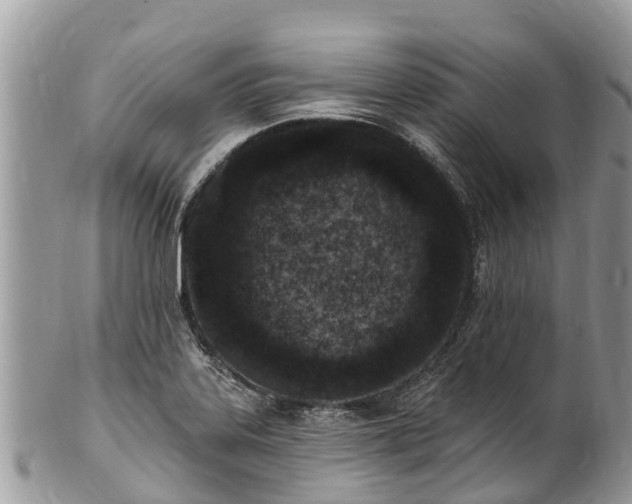 X0000101181323200807071236