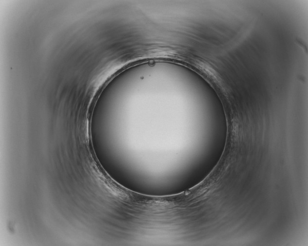X0000101181324200807071236
