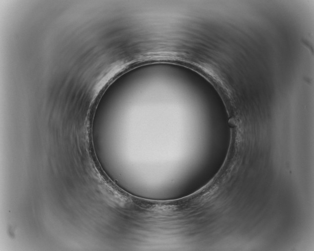 X0000101181325200807071236