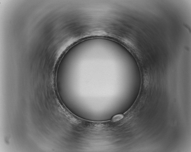 X0000101181326200807071236