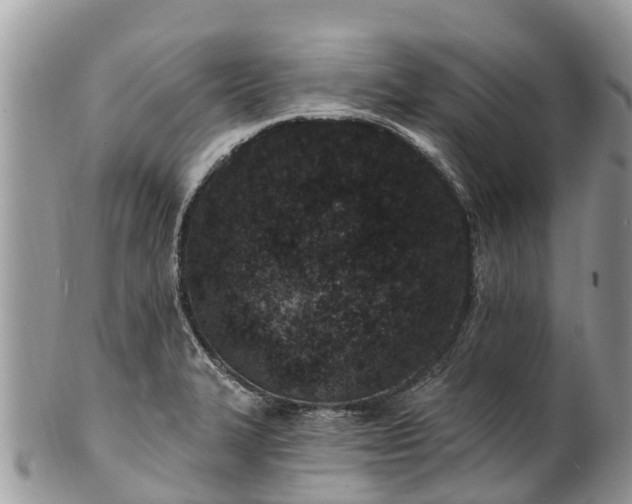 X0000101181327200807071236