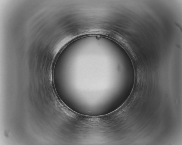 X0000101181328200807071236