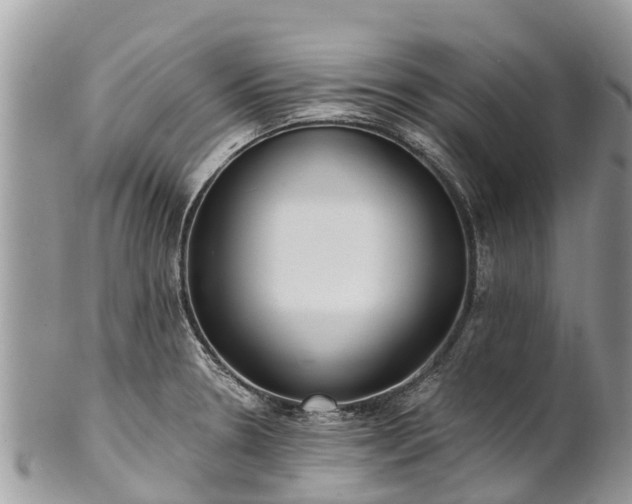 X0000101181330200807071236