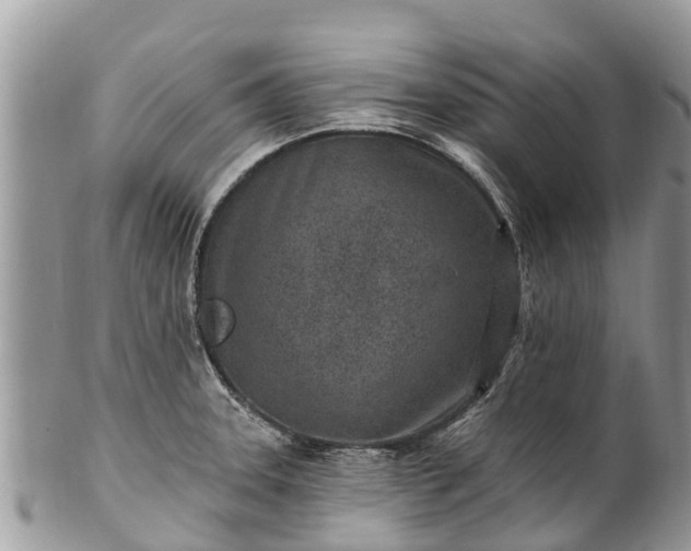 X0000101181331200807071236