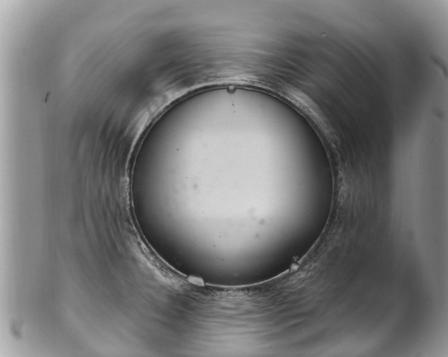 X0000101181332200807071236