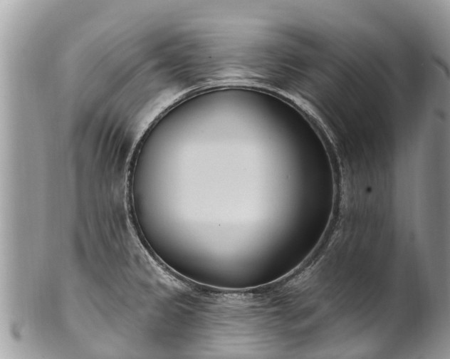X0000101181333200807071236