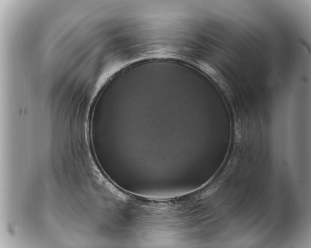X0000101181334200807071236