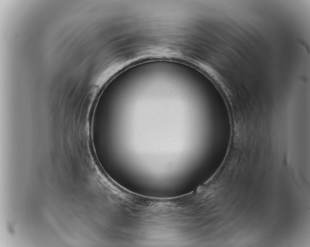 X0000101181335200807071236