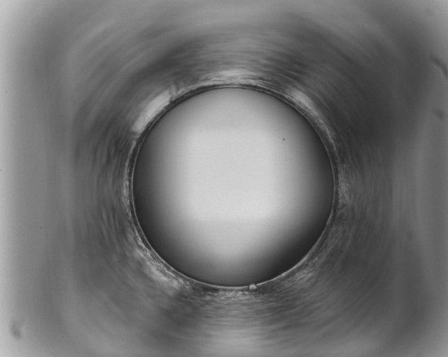 X0000101181336200807071236