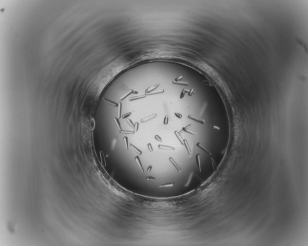 X0000101181337200807071236