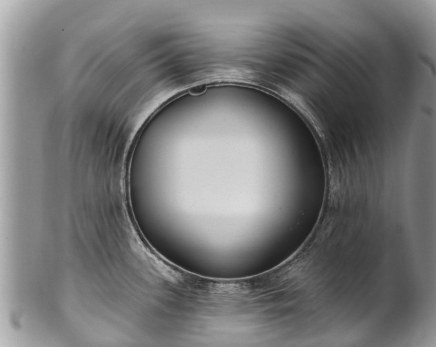 X0000101181339200807071236