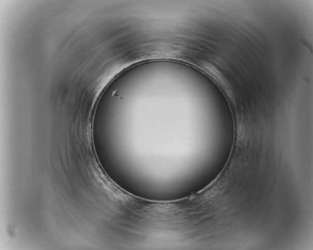 X0000101181340200807071236