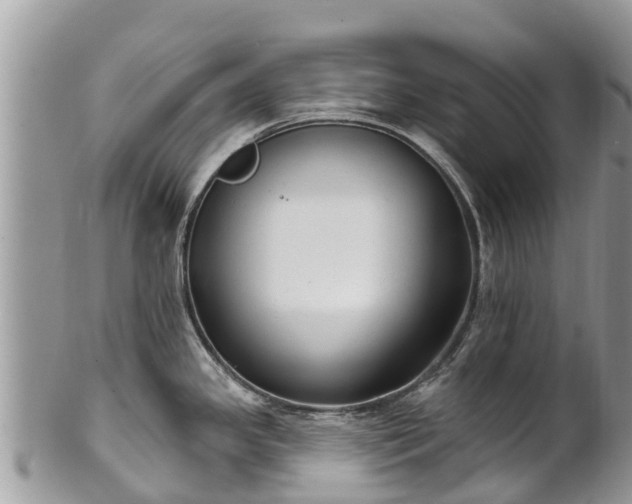 X0000101181341200807071236