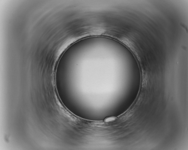 X0000101181342200807071236