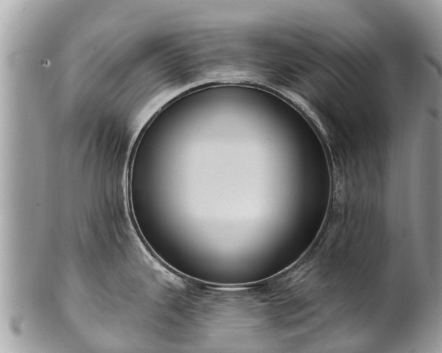 X0000101181343200807071236