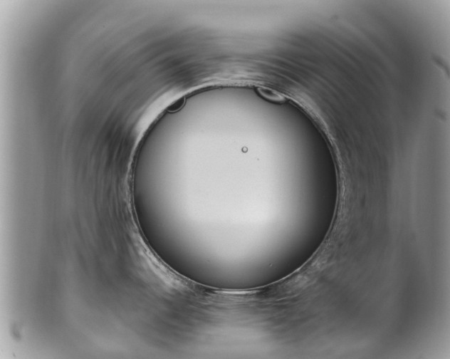 X0000101181344200807071236