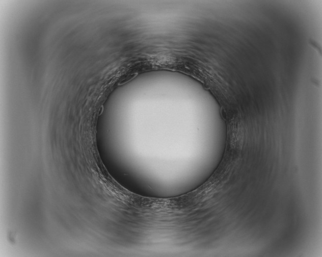 X0000101181345200807071235