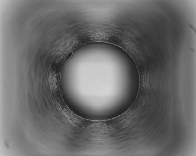 X0000101181346200807071235
