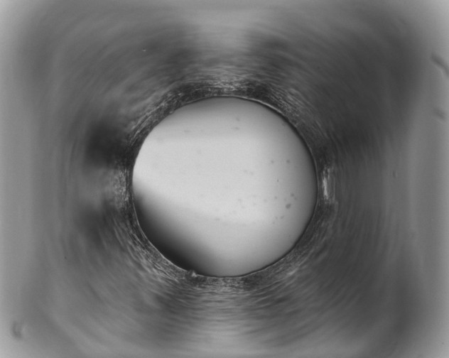 X0000101181347200807071235