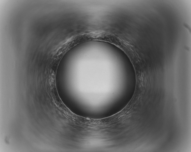 X0000101181349200807071235