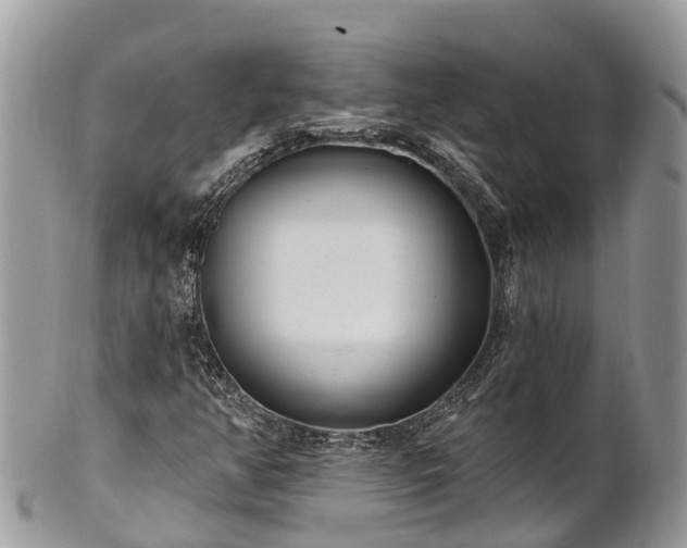 X0000101181350200807071235