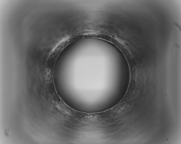 X0000101181351200807071235