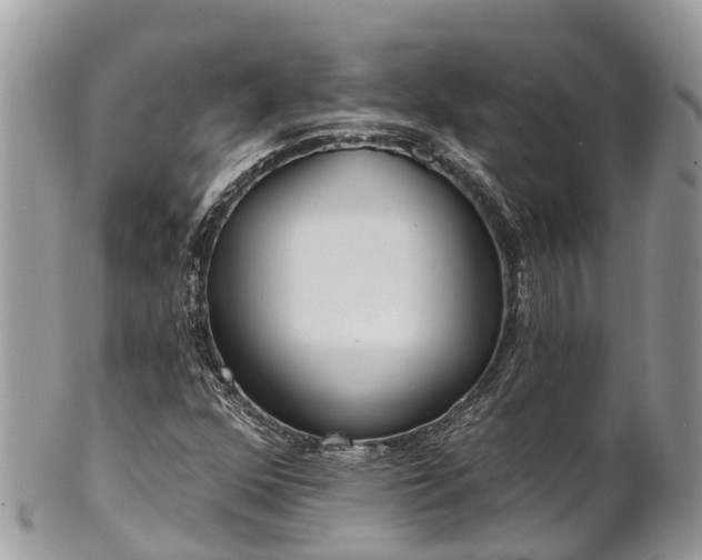 X0000101181352200807071235