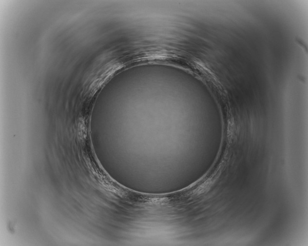 X0000101181353200807071235