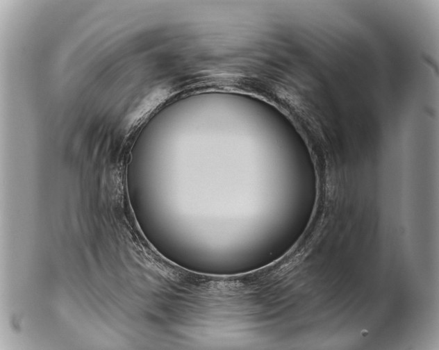 X0000101181354200807071235