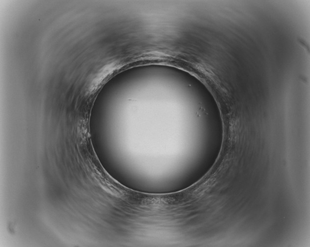 X0000101181355200807071235