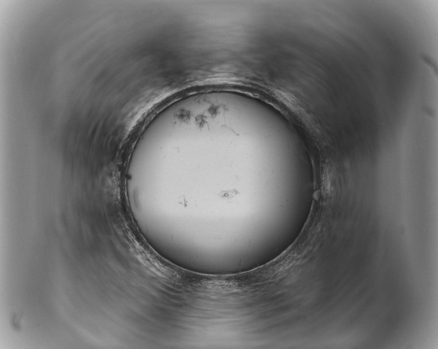 X0000101181356200807071235