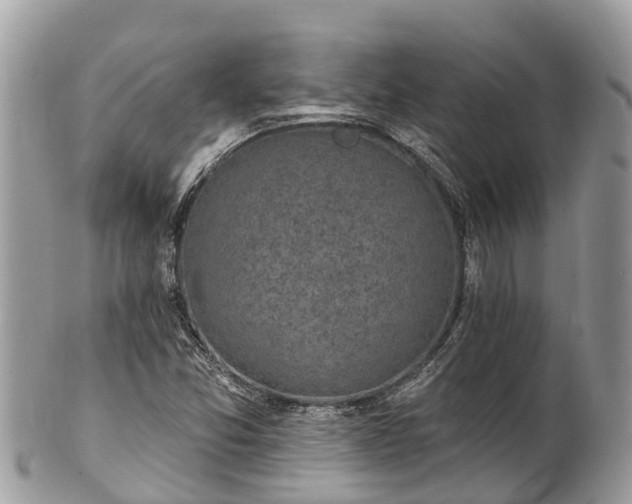 X0000101181357200807071235