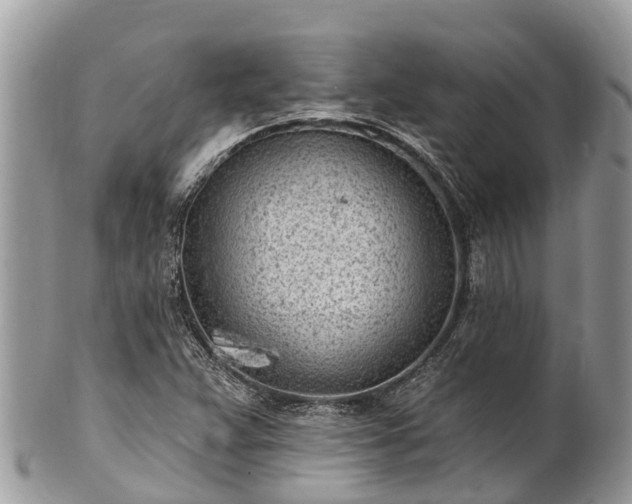 X0000101181359200807071235