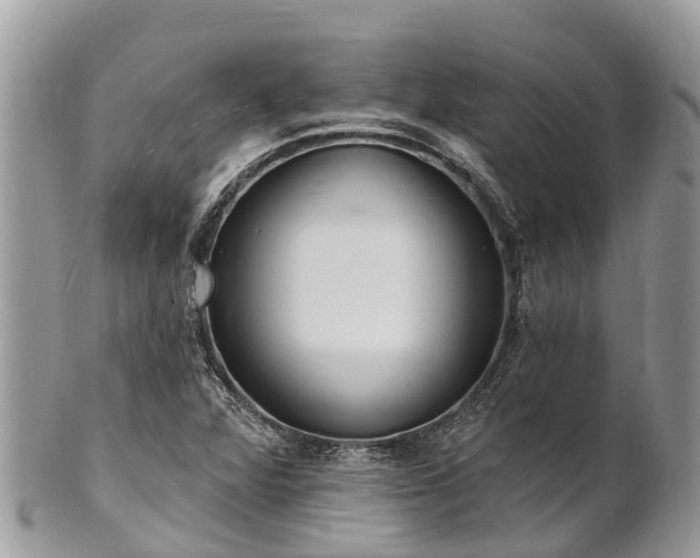 X0000101181360200807071235