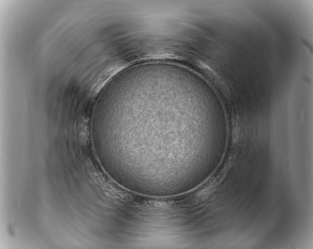 X0000101181361200807071235