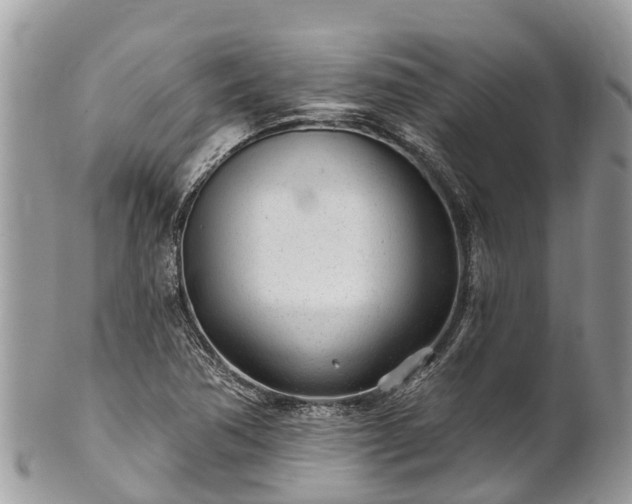 X0000101181362200807071235