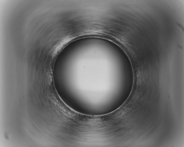 X0000101181363200807071235