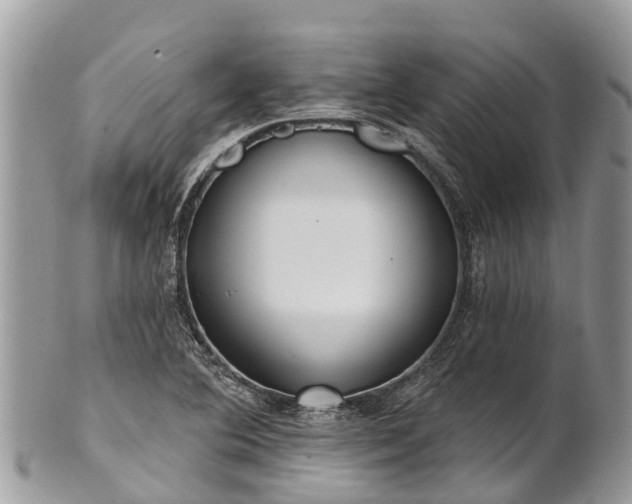 X0000101181364200807071235
